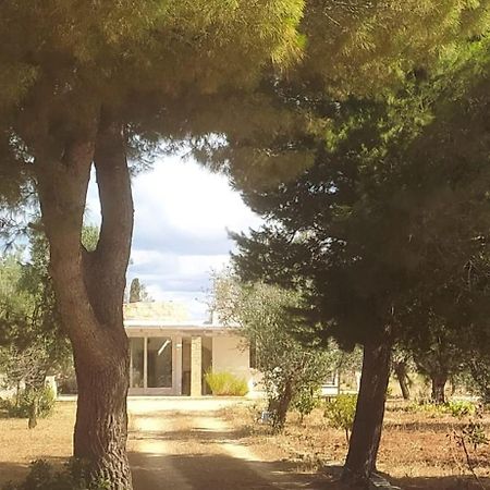 Apartamento Trullo Contrada Specchi Racale Exterior foto