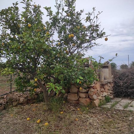 Apartamento Trullo Contrada Specchi Racale Exterior foto