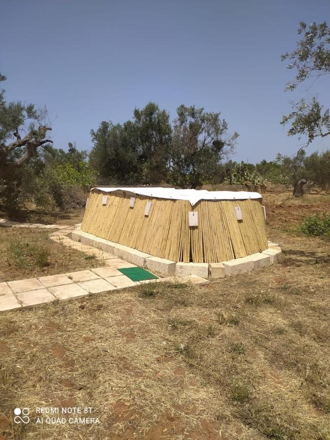 Apartamento Trullo Contrada Specchi Racale Exterior foto