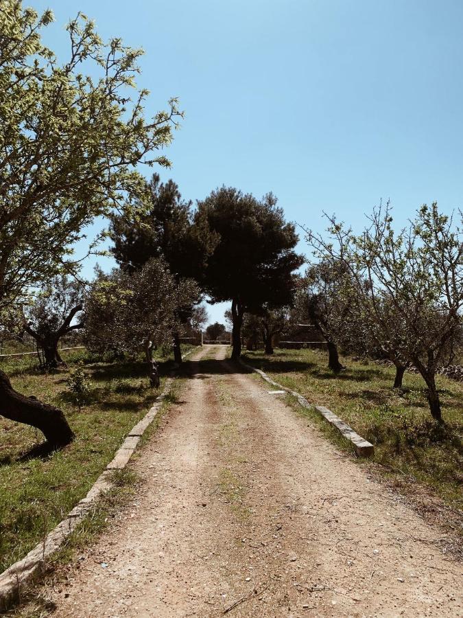 Apartamento Trullo Contrada Specchi Racale Exterior foto