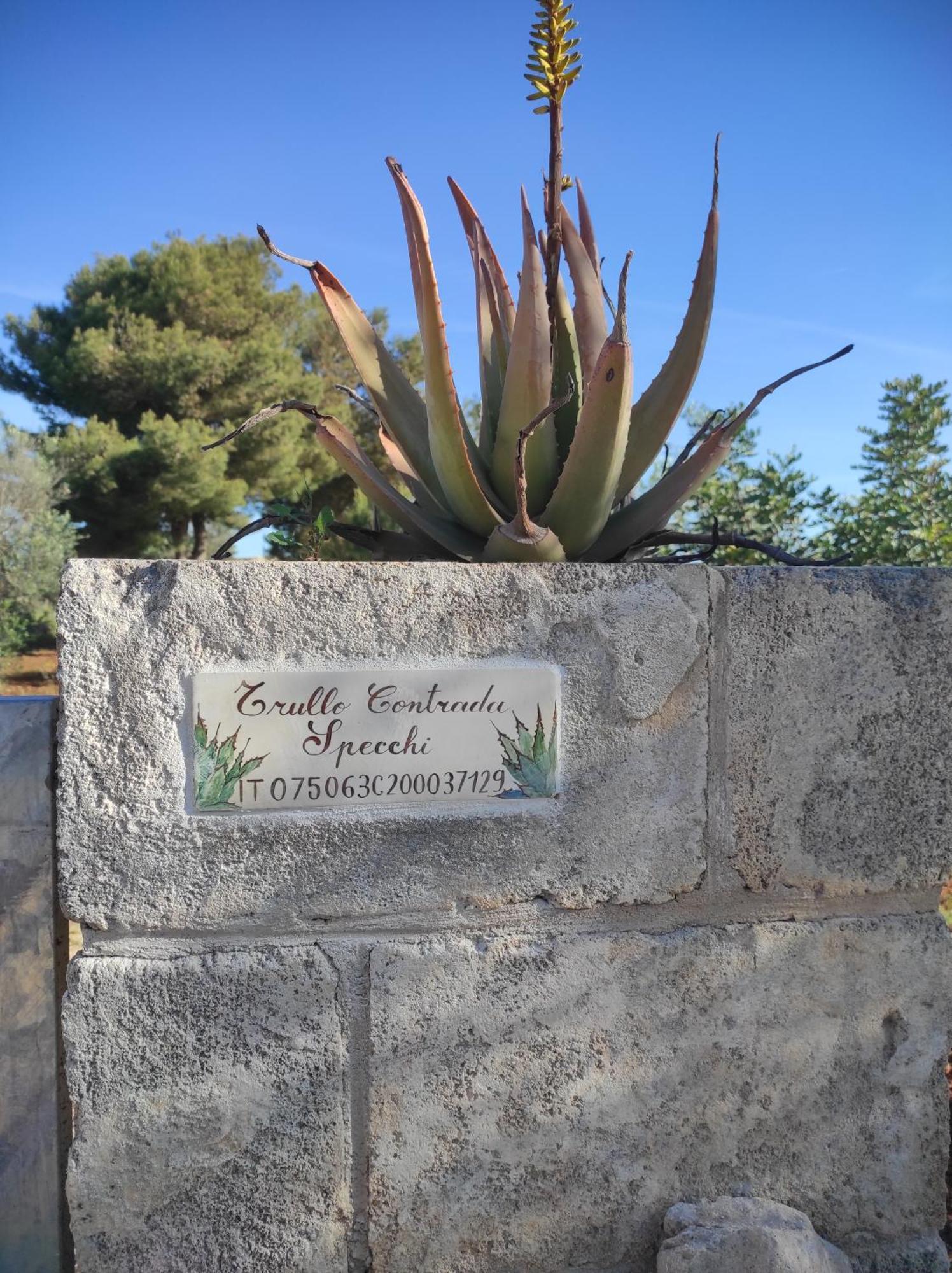 Apartamento Trullo Contrada Specchi Racale Exterior foto